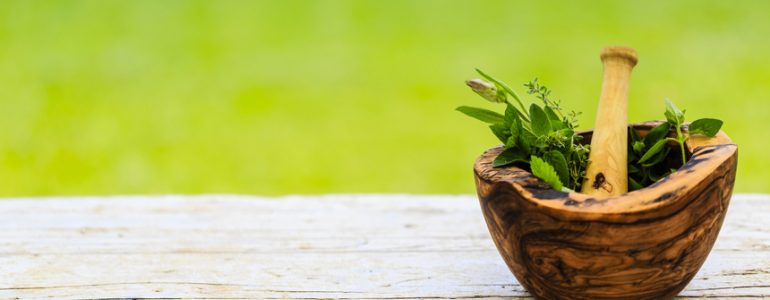 I segreti dell’Erboristeria: come curare il corpo con le proprietà benefiche delle erbe naturali